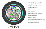 Multimode G652D Armored 48 Core Fiber Optic Cable GYTA53